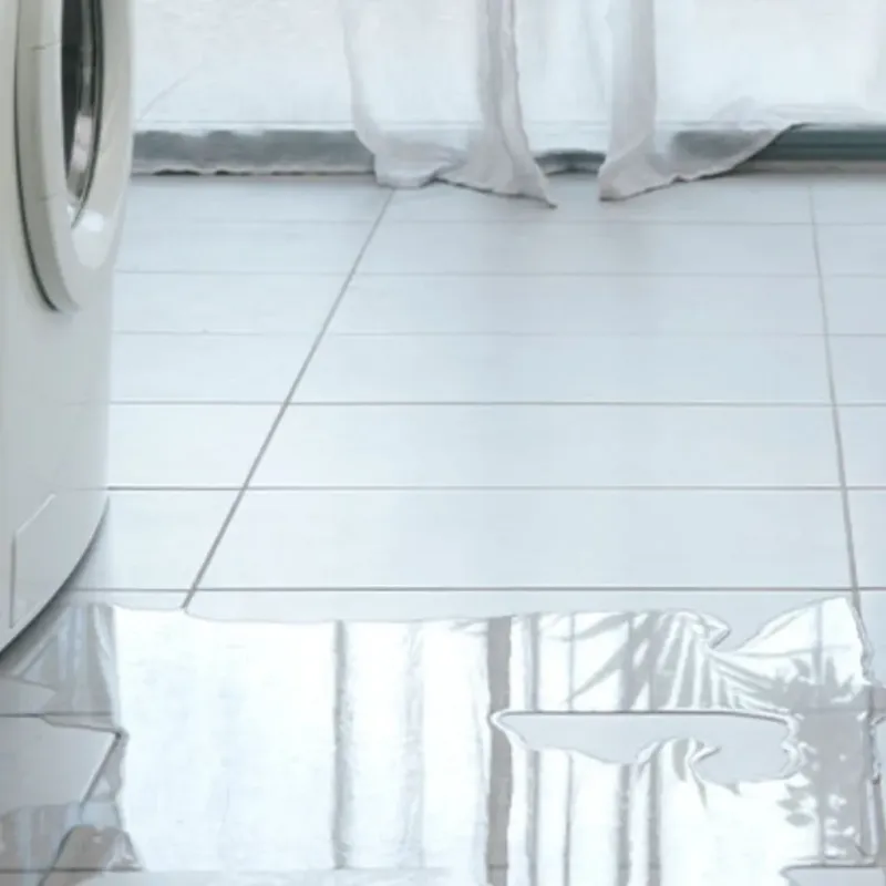 Appliance Leak Cleanup in Buffalo, TX