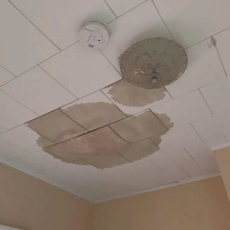 Ceiling Water Damage Repair in Buffalo, TX