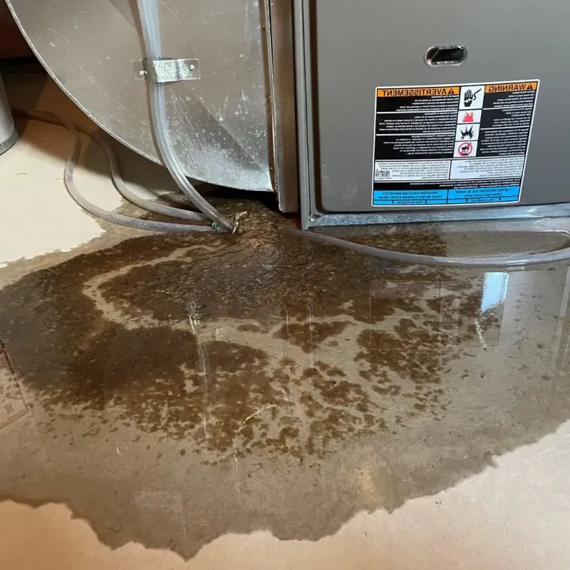 Pipe Burst and Leak Restoration in Buffalo, TX
