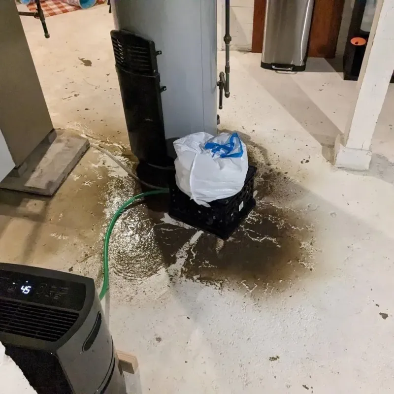 Sewage Backup Cleanup Service in Buffalo, TX